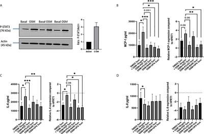 Targeting JAK-STAT Signalling Alters PsA Synovial Fibroblast Pro-Inflammatory and Metabolic Function